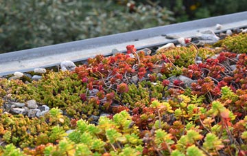 the cost of Adstone green roof installation