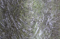 Adstone fibreglass roof work